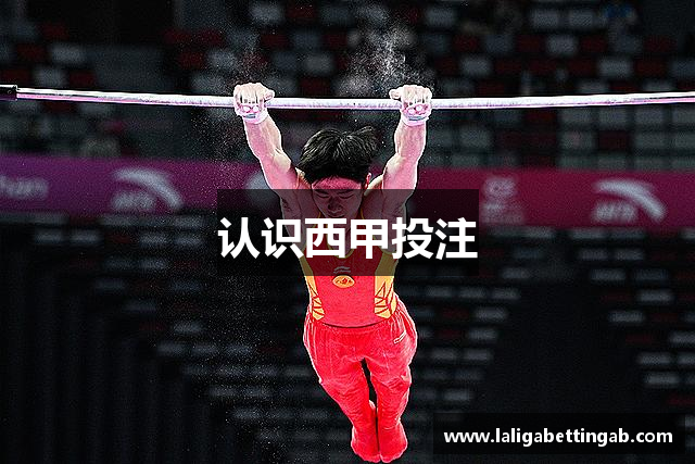 认识西甲投注